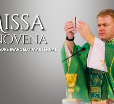 Capa destaque WordPress (2)