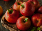 Capa destaque WordPress (3)