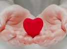 Capa destaque WordPress (8)