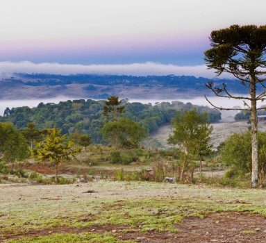 HOTEL-FAZENDA-BOQUEIRAO-AMANHECER-NA-SERRA_LAGES_NIK_7919_Makito