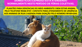 Posts-Blog-do-Jaime-2023-2-3