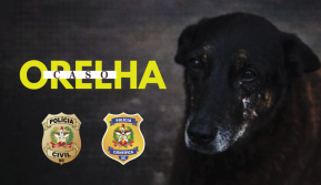 TELA_CASO_ORELHA_2-1024x576